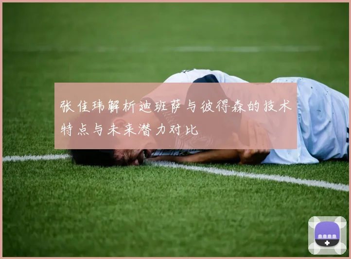 张佳玮解析迪班萨与彼得森的技术特点与未来潜力对比