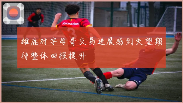 雄鹿对字母哥交易进展感到失望期待整体回报提升